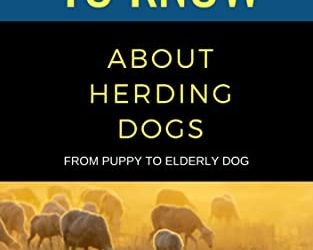 50 Things to Know About Herding Dogs : From Puppy to Elderly Dog (50 Things to Know About Dogs Book 8)