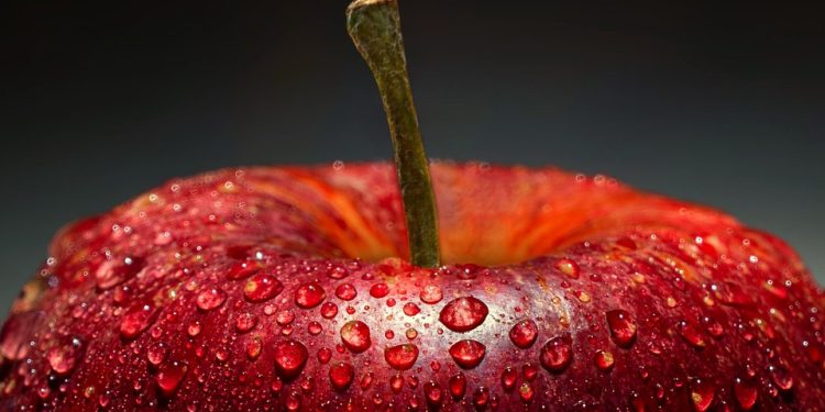 Feeding Time: Nourishing Your Reptile Friend with the Best Diet