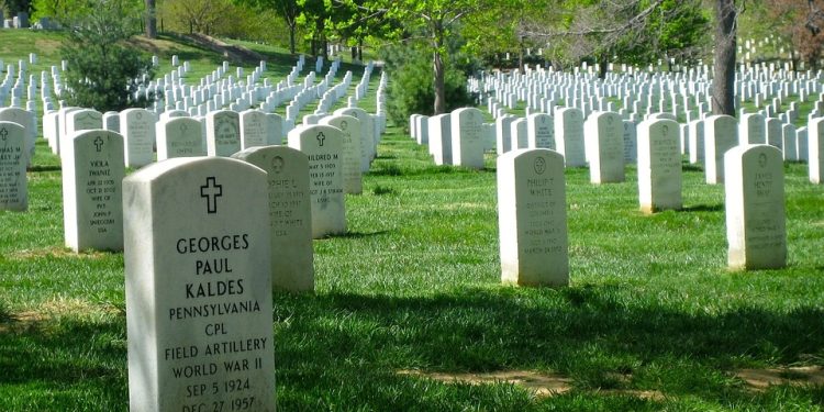 The Ultimate Guide to Homemade Cat Food for Allergy Relief: Nourishing Recipes for a Healthy Feline Friend