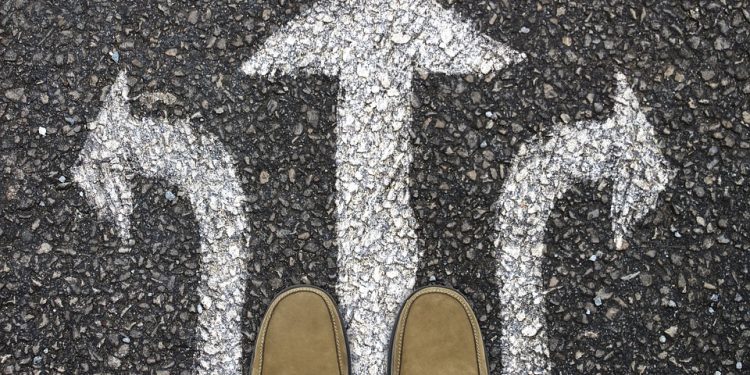 The Purrrfect Choice: Exploring the Benefits of Grain-Free Cat Food