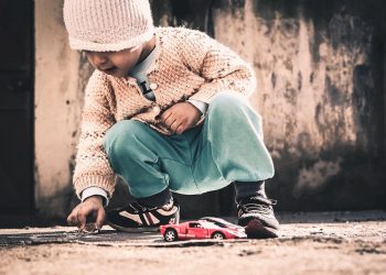 Feline Fun: Engaging Puzzle Toys for Curious Cats