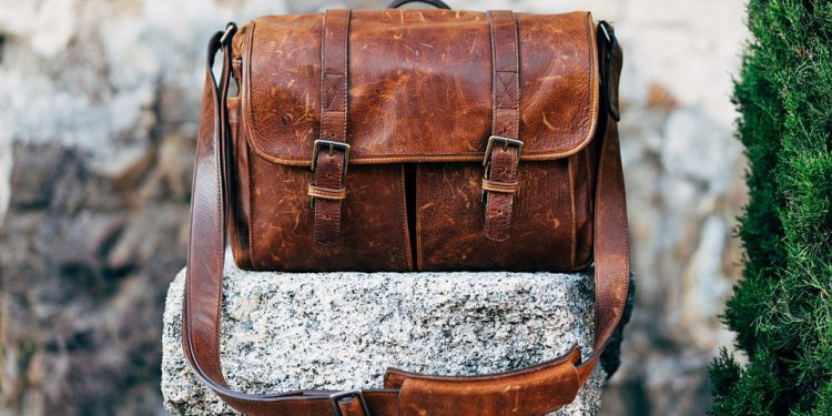 Purrfection in a Bag: The Ultimate Guide to Organic Cat Food for Healthier, Happier Felines