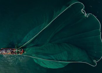 Swimming in Style: The Best Fish Tank Toys to Make Your Fish Happy