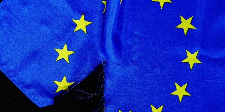 Ultimate Nutrition for Growing Paws: The Top Picks for Best Cat Food for Kittens