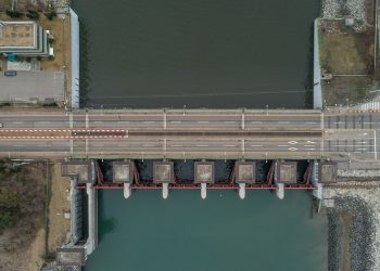 The Ultimate Guide to Choosing the Best Cat Food Brands for Your Feline Friend