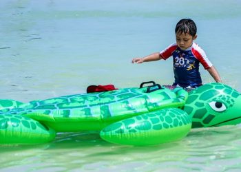 Shell Shocked Fun: Dive into the World of Turtle Toys!