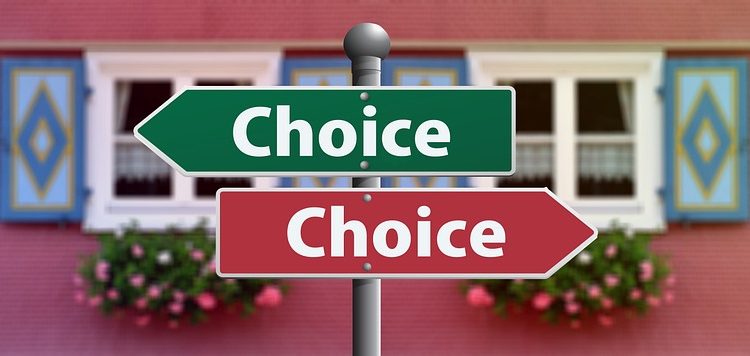 The Purr-fect Choice: Grain-Free Cat Food for Optimal Health and Wellness