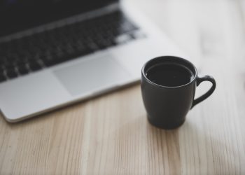 Whisker-Lickin’ Good: The Ultimate Guide to Choosing the Best Cat Food for Kittens