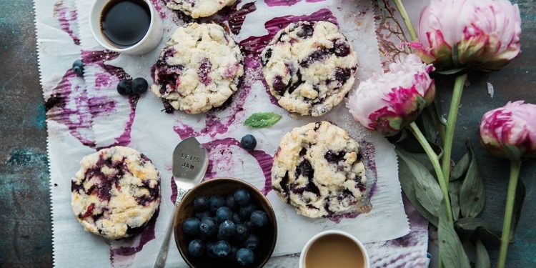 Eggcellent Homemade Cat Food: Nutritious Recipes Your Feline Friend Will Love