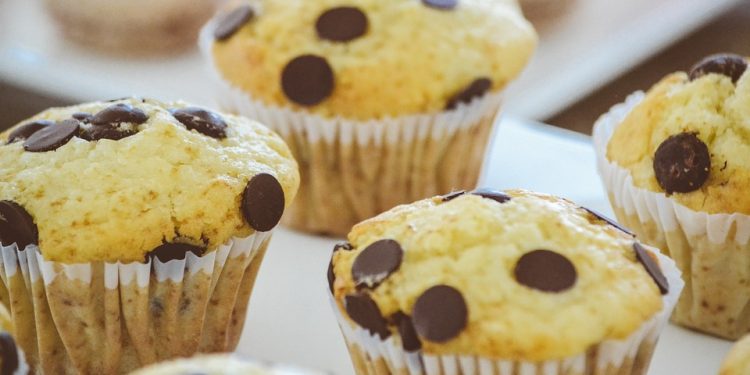 Egg-cellent Homemade Cat Food: The Purrrfect Recipe for Health and Happiness