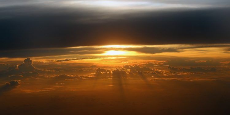 Purr-fect Solutions: The Ultimate Guide to Finding Allergy-Friendly Cat Food