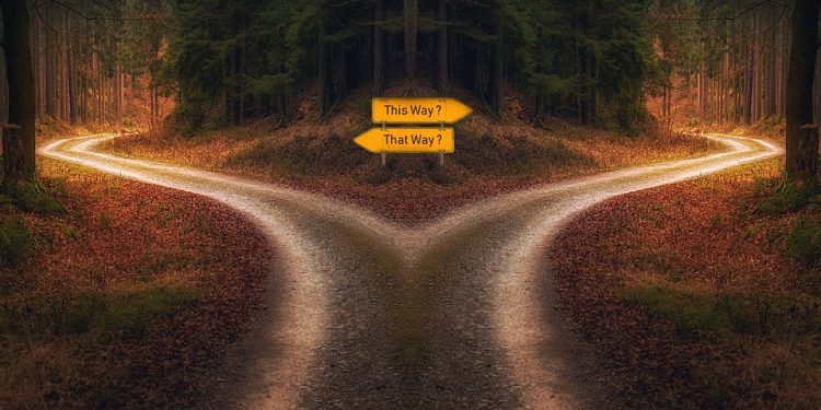 The Purr-fect Choice: Unveiling the Best Cat Food for Your Feline Friend