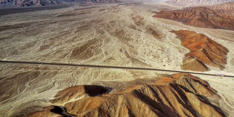 Relief for Feline Allergies: The Ultimate Guide to Cat Food Solutions