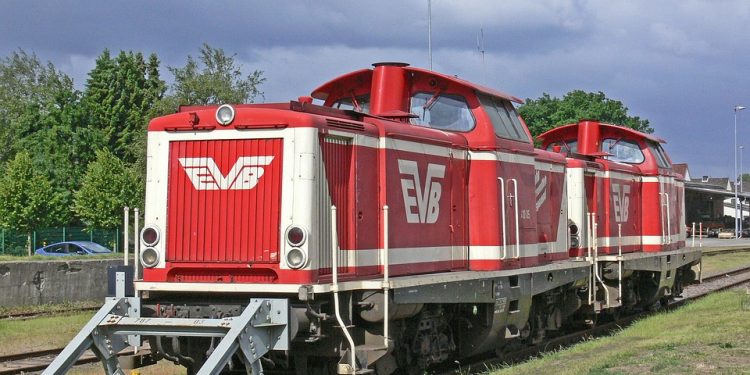 Power-Packed Homemade Cat Food: A Recipe for Healthy Weight Gain