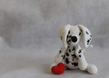 The Ultimate Guide to Interactive Dog Fetch Toys: Keeping your Pup Active and Entertained!