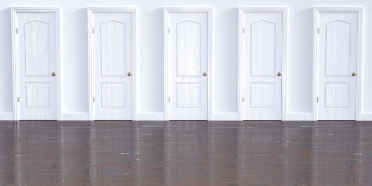 The Purrfect Choice: The Benefits of Grain-Free Cat Food for a Healthier Feline Friend