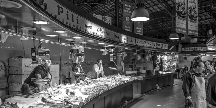 Creating a Fin-tastic Feast: Homemade Fish Food Recipes for Happy, Healthy Fish