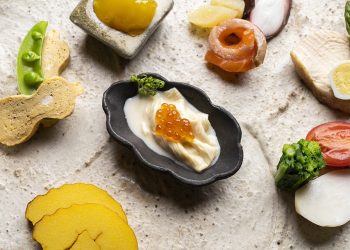 The Perfect Recipe: Fueling Your Finned Friends with the Best Fish Food Choices