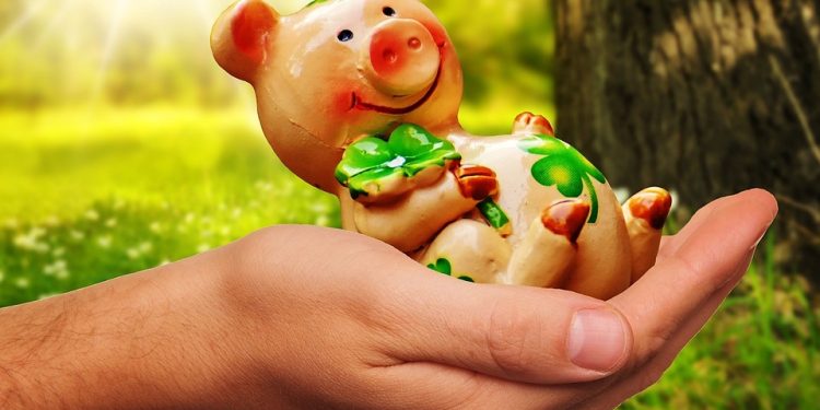 Whisker-Lickin’ Good: Homemade Cat Food Recipes with Eggscellent Eggs