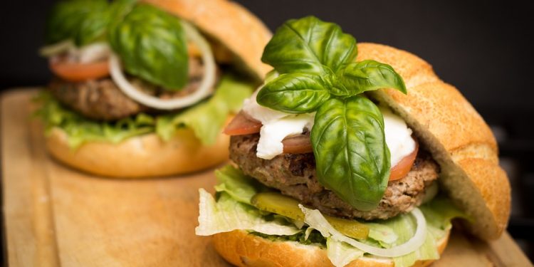 Satisfy Your Reptile’s Appetite: A Guide to Choosing the Best Reptile Food