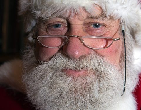 Whiskerlicious: The Ultimate Guide to Homemade Cat Food Recipes