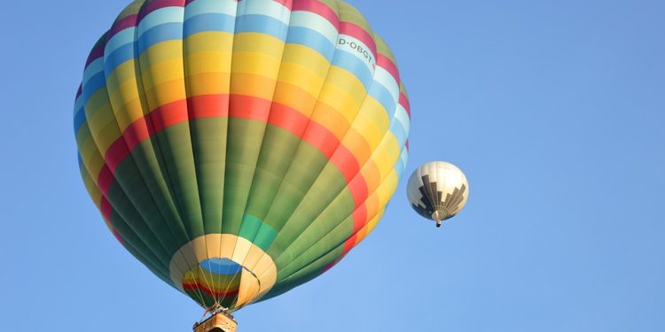 Boost Your Cat’s Weight with Wholesome Homemade Food: A Complete Guide