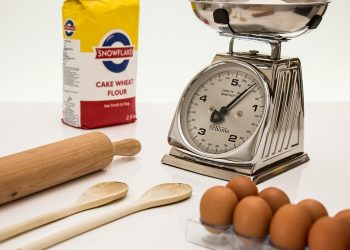 Egg-citing Recipes: Homemade Cat Food with Eggs to Keep Your Feline Friend Happy and Healthy