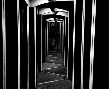 Purrfect Solutions: The Ultimate Guide to Cat Food for Allergies