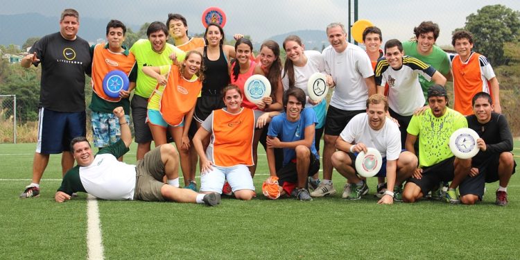 The Ultimate Guide to Choosing the Best Cat Food for Your Feline Friend