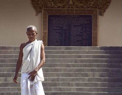 The Truth About Your Cat’s Food: Unveiling the Essential Ingredients for a Healthy Feline Diet