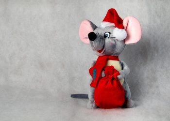 Unleash your Rat’s Playful Side with These Irresistible Toys!