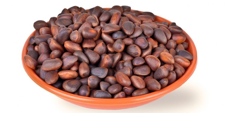 Wholesome Recipes for Healthy Purring: Homemade Cat Food for Weight Gain