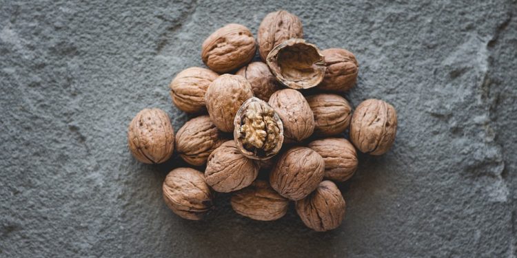 Purrrfectly Healthy: The Benefits of Grain-Free Cat Food for Your Feline Friend