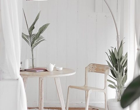 Home Chef Meow: Crafting Allergy-Friendly Homemade Cat Food with Love