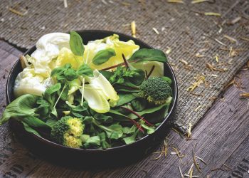 The Secret Diet of Rabbits: Uncovering the Truth Behind Their Food Habits