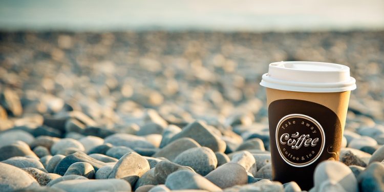 Whisker-Lickin’ Good: The Benefits of Organic Cat Food for a Healthier Feline Friend