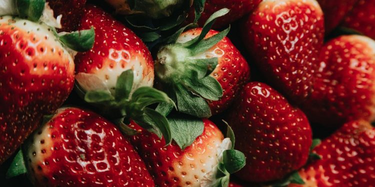 3 Cat Food Brands to Steer Clear Of for Your Feline’s Health