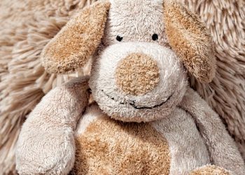 Slither & Play: The Ultimate Reptile Toy Collection for Happy Lizards