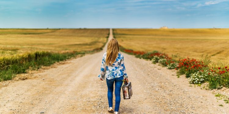 Say Goodbye to Allergies: Homemade Cat Food Recipes for a Happy, Healthy Feline