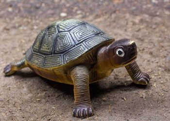 Shell-tastic Fun: The Best Turtle Toys for Kids