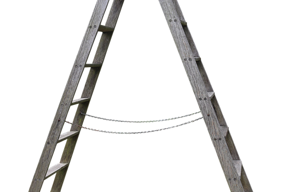 Boost Your Feline Friend’s Health: Homemade Cat Food Recipes for Weight Gain