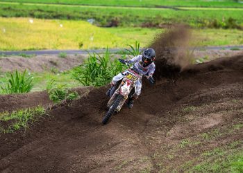 Mastering the Art of Cat Leash Training: A Guide to Feline Freedom and Adventure